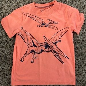 Boys dinosaur shirt